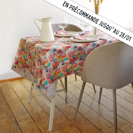 NAPPE - Coraux